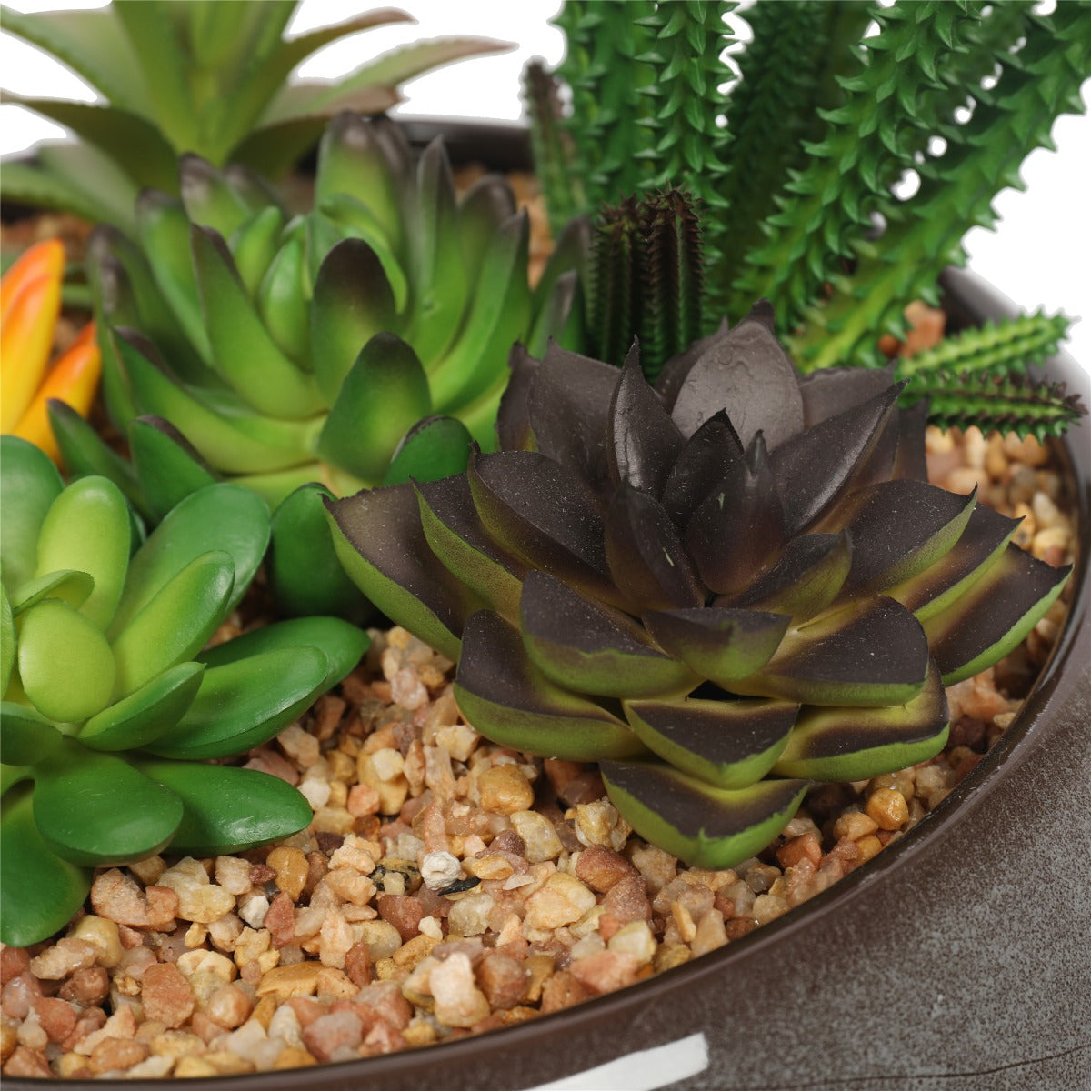 Artificial succulent bowl close-up showing varied plant shapes and colours — Allure Home Collections