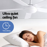 Mounting hardware and downrod for the white ceiling fan