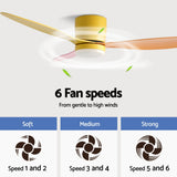 Side profile of the flush mounted multicoloured ceiling fan