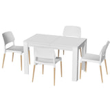 Basket Range white dining set in a modern dining room