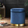 Artiss Tufted Velvet Storage Ottoman with Gold Accent Charcoal Grey Cream or Green — Allure Home Collections