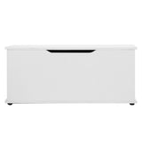 Kids toy box storing toys and blankets