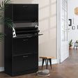Halls Gap 60 Pair Shoe Cabinet, Black
