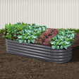 Green Fingers Oval Raised Garden Bed — 160 x 80 x 42cm Galvanised Steel — Allure Home Collections