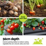 Green Fingers Oval Raised Garden Beds — Pack of 2, 320 x 80 x 56cm — Allure Home Collections