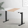 Artiss Motorised Sit-Stand Desk White Oak Walnut or White — Allure Home Collections