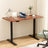 Artiss Dual Motor Electric Height Adjustable Desk Rustic Brown Oak or Walnut — Allure Home Collections