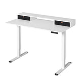 Artiss 120cm Electric Sit-Stand Desk Motorised with Presets — Allure Home Collections