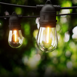 Allure Home Festoon String Lights 59m