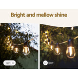 Allure Festoon String Lights - 77m Bright Elegance