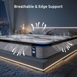 Firm Latex and Memory Foam Hybrid Mattress, 34cm Queen