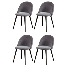Lenswood dark grey curved velvet dining chairs with iron legs in a modern dining room