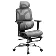 Artiss Ergonomic High-Back Office Chair with Footrest Grey Mesh — Allure Home Collections