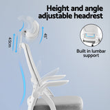 Artiss Ergonomic Office Chair with Adjustable Headrest