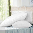 Giselle Bedding Luxury Duck Feather Down Pillow Twin Pack — Perfect Support and Softness — Allure Home Collections