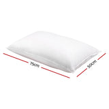 Giselle Bedding Duck Feather Down Pillow Twin Pack — 1kg Non-Live Plucked Fill — Allure Home Collections