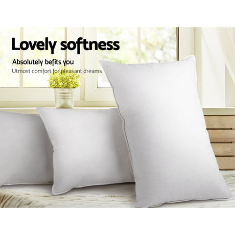 Giselle Bedding Duck Feather Down Pillow Twin Pack — 1kg Non-Live Plucked Fill — Allure Home Collections