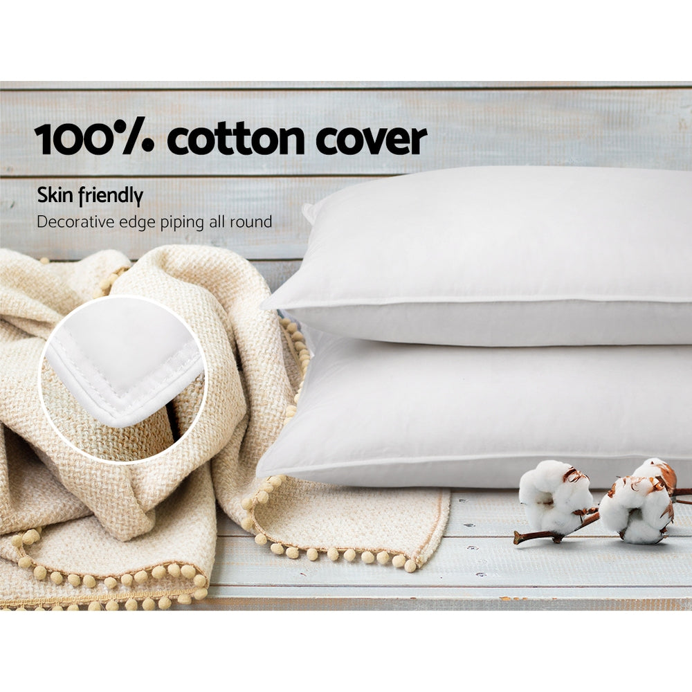 Giselle Bedding Duck Feather Down Pillow Twin Pack — 1kg Non-Live Plucked Fill — Allure Home Collections