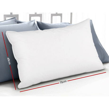 Giselle Bedding Luxury Goose Feather Down Pillow Twin Pack — 1kg Fill Each — Allure Home Collections