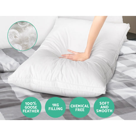 Giselle Bedding Luxury Goose Feather Down Pillow Twin Pack — 1kg Fill Each — Allure Home Collections