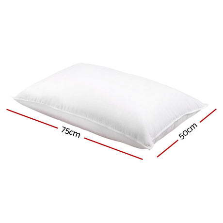 Giselle Bedding Goose Feather Down Pillow Twin Pack — 1kg Non-Live Plucked Fill — Allure Home Collections