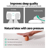 Giselle Bedding 100% Natural Latex Classic Pillow Twin Pack — Allure Home Collections