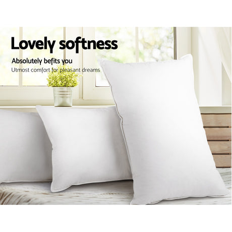 Giselle Bedding Premium Pillow 4-Pack — 48x73cm, 2 Firm and 2 Medium, Family and Hotel — Allure Home Collections