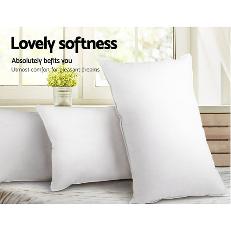 Giselle Bedding Luxury Bed Pillow 4-Pack — 50x90cm, Family and Hotel — Allure Home Collections