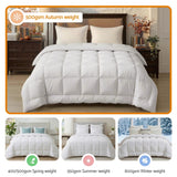 Great Barrington 500GSM Wool Quilt, Super King