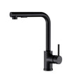 Pull Out Kitchen Mixer Tap Rectangle Spout Matte Black