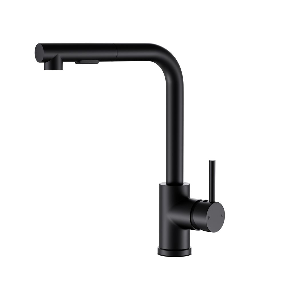 Pull Out Kitchen Mixer Tap Rectangle Spout Matte Black