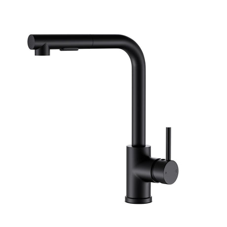 Pull Out Kitchen Mixer Tap Rectangle Spout Matte Black