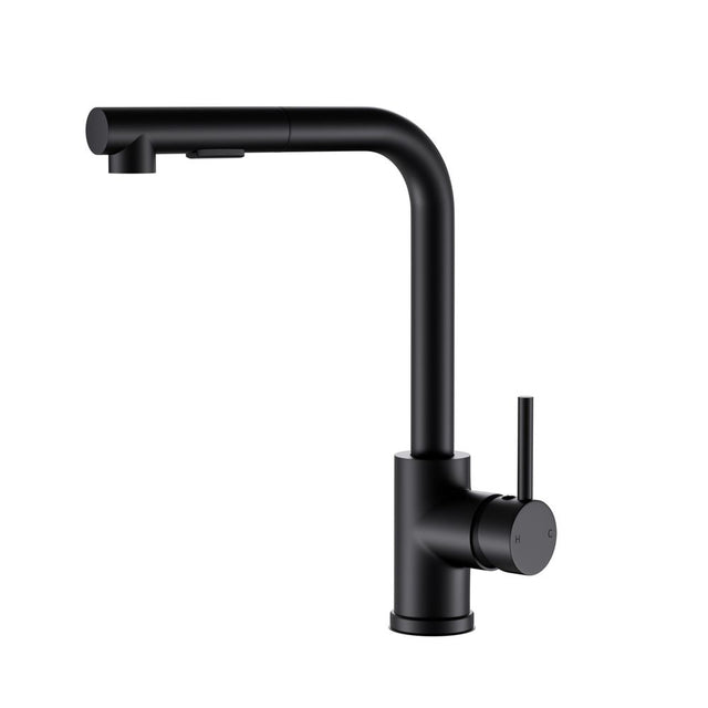 Pull Out Kitchen Mixer Tap Rectangle Spout Matte Black