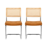 PU Leather Rattan Cantilever Dining Chairs — Brown, Set of 2 — Allure Home Collections