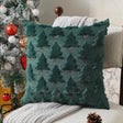 Plush Black Christmas Pillow Covers Set of 2