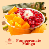 Pomegranate Mango soy candle fragrance notes