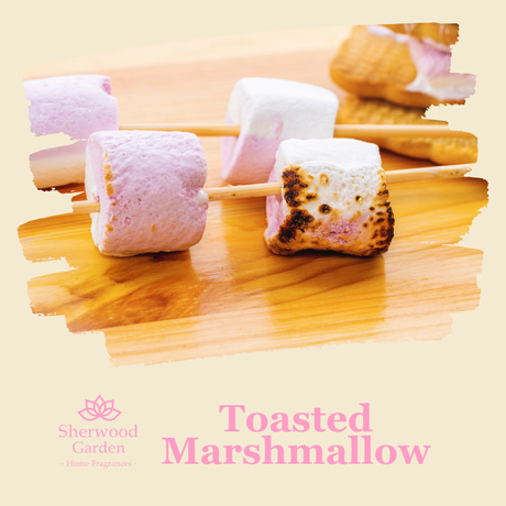 Toasted Marshmallow Soy Candle Tin 165g