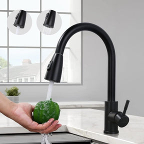 Black stainless steel kitchen mixer tap with pull down sprayer and high spout