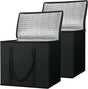 Two large insulated reusable grocery bags standing upright