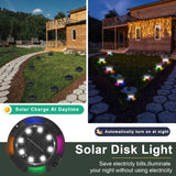 Solar Hanging Lantern Light, Warm White