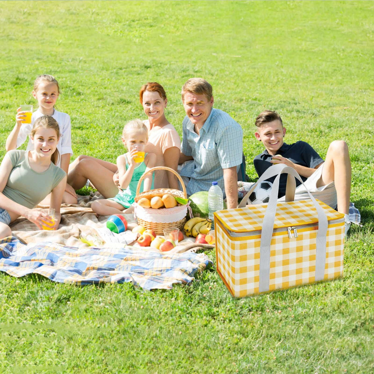 Bourdeilles Insulated Picnic Basket, Large Capacity, Yellow