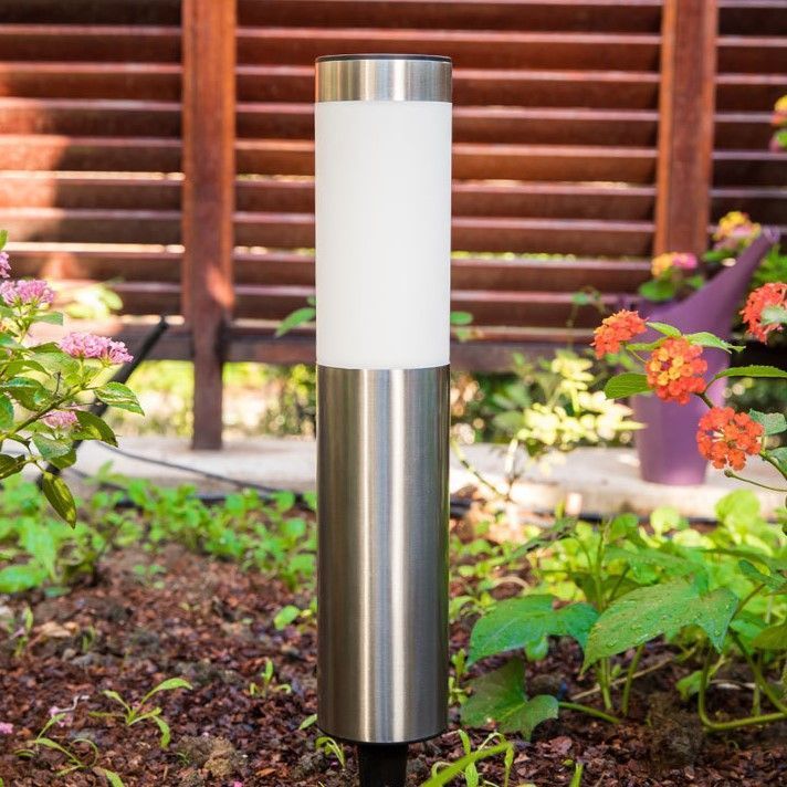 Cool white solar garden light illuminating pathway