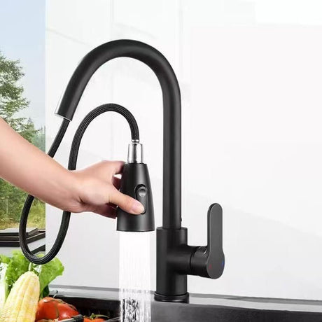 Black pull out kitchen mixer tap in stainless steel