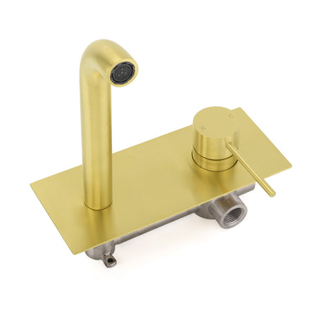Round Wall Mounted Basin Mixer Tap with Curved Spout, Brushed Gold
