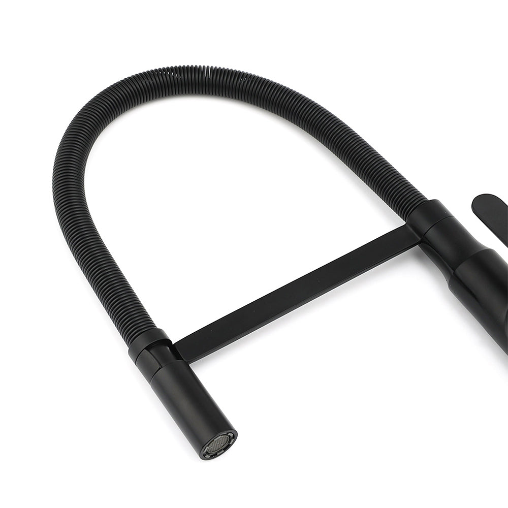 Pull Out Kitchen Mixer Tap, 360 Degree Swivel, Matte Black