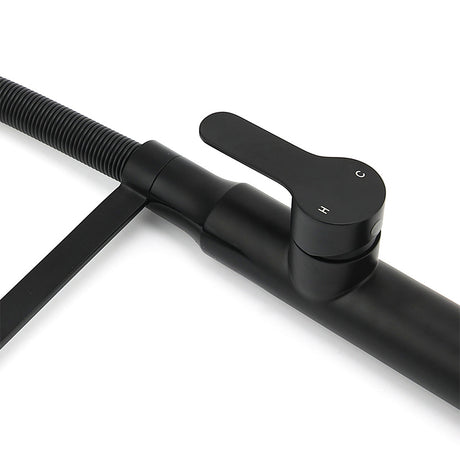 Pull Out Kitchen Mixer Tap, 360 Degree Swivel, Matte Black