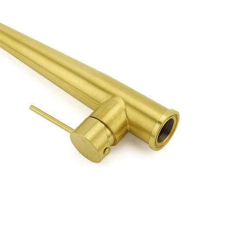 Kitchen Sink Mixer Tap with Swivel Spout, Brushed Gold
