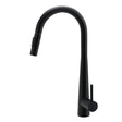 Round Pull Out Kitchen Mixer Tap with Dual Spray, Matte Black