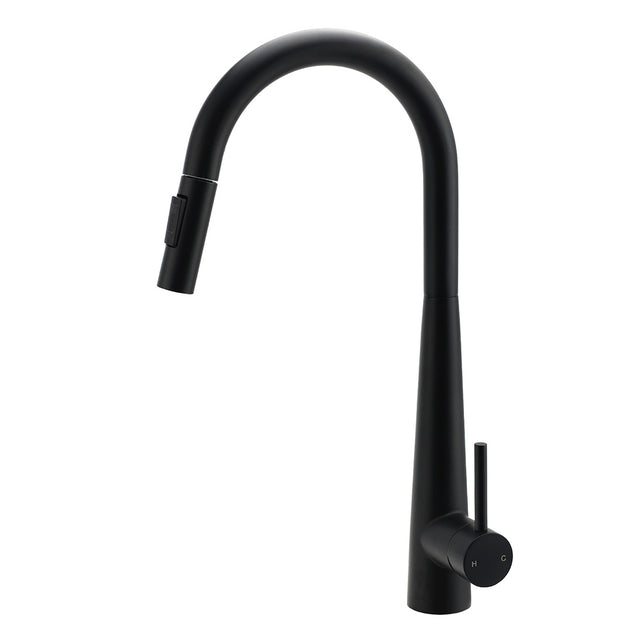 Round Pull Out Kitchen Mixer Tap with Dual Spray, Matte Black
