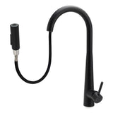 Round Pull Out Kitchen Mixer Tap with Dual Spray, Matte Black